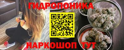 мдпв Жуковский