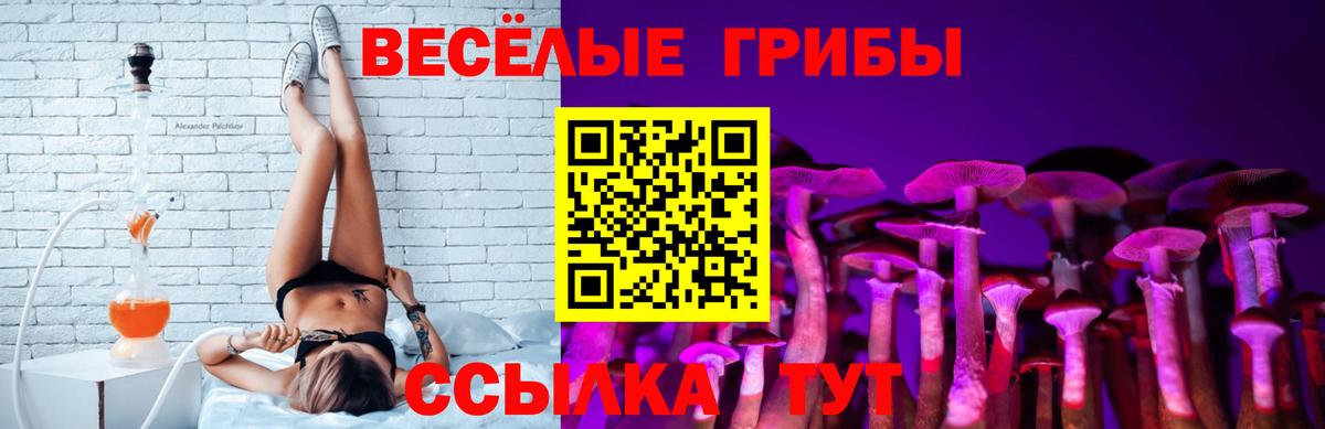 Галлюциногенные грибы прущие грибы  Галлюциногенные грибы мицелий  Печора  купить наркоту  Вход с VPN 
