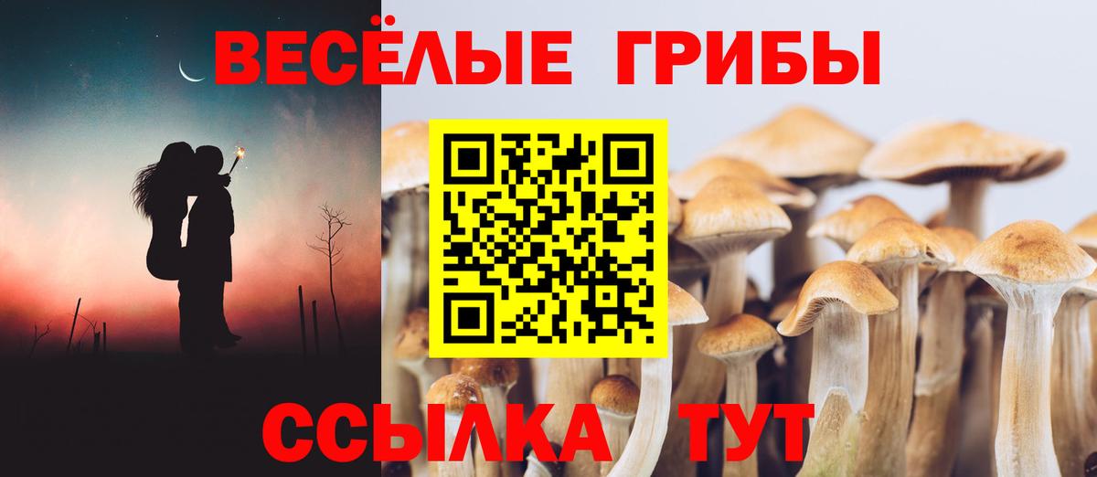 Псилоцибиновые грибы Magic Shrooms Печора